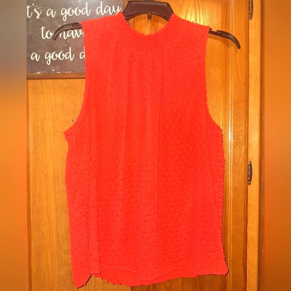 Daniel Rainn Sleeveless Red Textured Women's Top In A Size XXL. Pre-loved - Picture 1 of 8